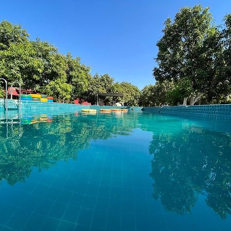Amraness Luxury Resort Sasan Gir Zewnętrze zdjęcie